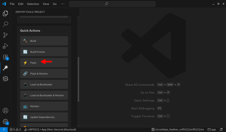 Flash button