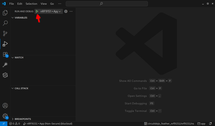 Launch Debug